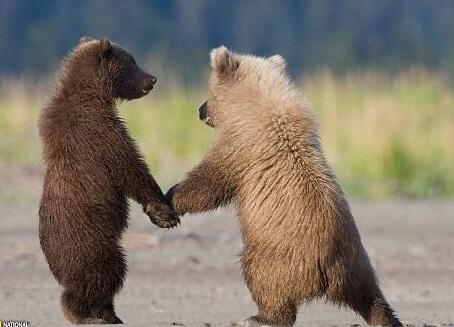 友情鏈接的作用 友情鏈接的作用